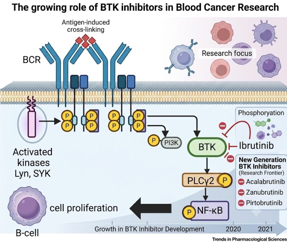 The growing role of BTK inhibitors in Blood Cancer Research